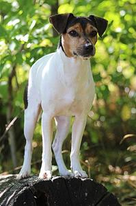 0 IMG_5830 0 IMG_5830