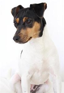 0 IMG_5672 0 IMG_5672
