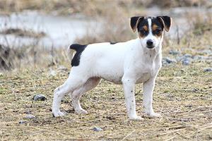 IMG_6145 IMG_6145
