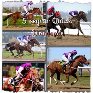 Quick Diamond 5 segrar Quick Diamond 5 segrar