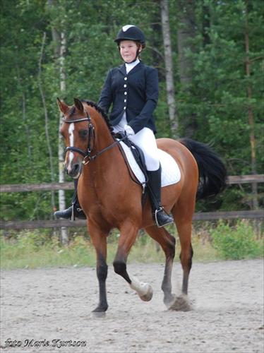 Elin o Wyper dressyrtävling Elin o Wyper dressyrtävling