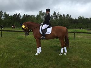 Elin och Qampari trea på Lovisedal 14 juni 2015 Elin och Qampari trea på Lovisedal 14 juni 2015