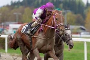 Quick Diamond vinner 9 maj -12 Quick Diamond vinner 9 maj -12