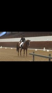 Elin och Qampari Msv C:2 Strömsholm 2015 Elin och Qampari Msv C:2 Strömsholm 2015