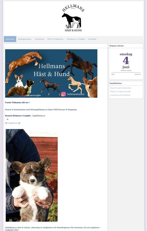 fluer wiki nøgne kvinder i skoven fluer wiki nøgne kvinder i skoven