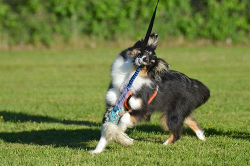 DSC_0253 DSC_0253