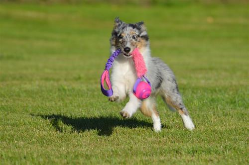 DSC_0191 DSC_0191